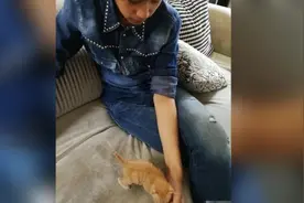 祁同伟晒娃模式开启！许亚军何晴16岁儿子长大变帅了 遗传父母好基因视频封面