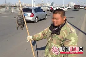 临沂：还有人路边卖大龟 称在山中捕获要价800元图片