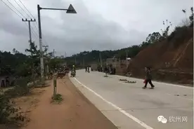 钦浦三合公路段发生离奇车祸：一人一狗各断一条腿！图片