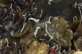 孕中期忌口食物 孕妇哪些食物不能吃图片