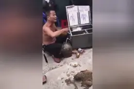 最牛骗术，活鸡打断腿搽药后变好，有人解释下吗？视频封面