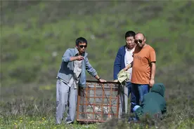 甘南：小狼放归记图片