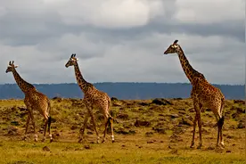 暑期旅行的全新打开方式，带着孩子野一把图片