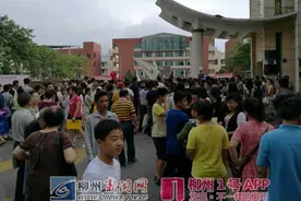 柳州中小学学区生招生报名开始啦！今天排长队？明天报名更便捷图片