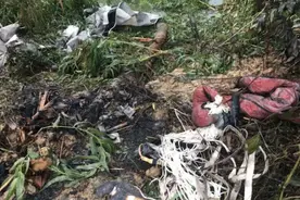 男子在开平驾驶轻型飞机坠亡 价值百万飞机也报废图片