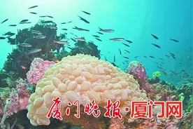 为方便暑假市民参观 厦门科技馆闭馆时间适当延后图片