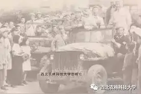 西农解放记忆（六）｜西农迎解放图片
