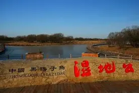 黑龙江新增6处国家级自然保护区，去哪里都能清凉解暑，玩到嗨！图片