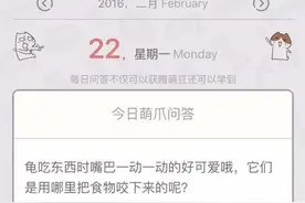 萌爪问答 | 狗狗骨折手术后要怎么护理呢？图片