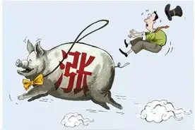 虾农有话说：水产行业好一派歌舞升平但我只关注养殖能否养家糊口图片