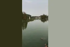 东莞麻涌华阳湖#每天钓鱼的人都很多，而且收获还不少。