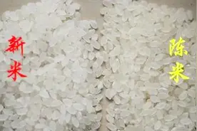 教你一招快速辨别大米是新米还是陈米，再也不怕去超市买到伪劣大米了