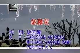 She-紫藤花视频封面