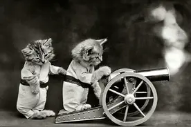 一组摄于100年前的喵星人照片图片