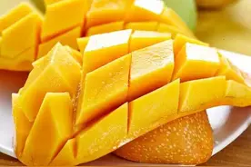 金煌芒果的高贵，只剩3年的时间窗口图片