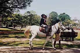 斯里兰卡：除了自助餐抢虾，中国游客还有哪些不佳举止？图片