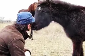 前腿遭绑几个月无法正常行走的马儿获救后，它的反应让你想不到图片
