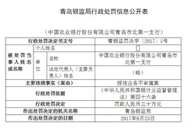 农业银行市北第一支行授信业务不审慎 被罚款30万图片