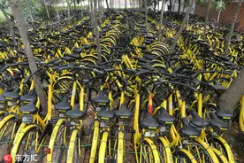 什么情况？郑州近千辆小黄车被锁高校小树林中图片