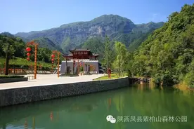 最近千万别去紫柏山，凤县有更劲爆的消息！图片