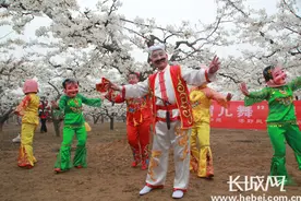 博野县沙窝村 梨花飘香惹人醉 产业富民奔小康图片