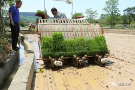 深受农民群众欢迎，柳北区大力提升农机作业服务！图片