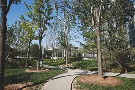 石景山179万平米“大杂院”超五成还绿图片