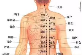 教科书上没有的一课：国医大师贺普仁谈经络与腧穴丨正安图片
