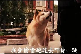 “你是骗子”一个直戳泪点震撼人心的视频！让我再哭会儿图片