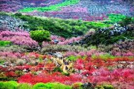 头条| 2016第十四届桂林恭城"桃花节"活动日程曝光，桃花运走起！图片