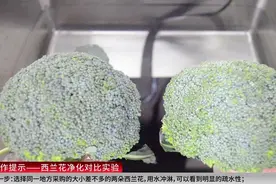 水氪专业食品净化机净化西兰花实验！亲水性和疏水性效果明显！视频封面