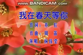 杨钰莹-《我在春天等你》，山川岁月的约定，图片