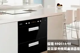 樱花88Q315-90消毒柜 双重消毒 3D循环烘干图片