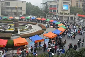 2016年浙江高职提前招生咨询会现场图片