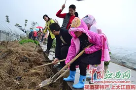 “百人植树 绿动南昌”本网周六邀您去怪石岭植树春游图片