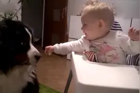 为什么狗狗喜欢跟孩子一起玩？因为每个宝宝天真无邪，对世界都充满善意视频封面