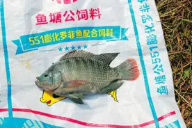 厉害了！一款从未收到投诉的爆品饲料是如何炼成的？图片