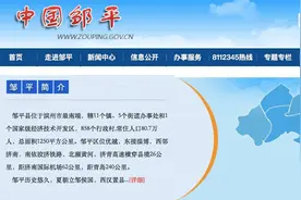 负债上百亿，这家山东明星企业申请破产重整图片