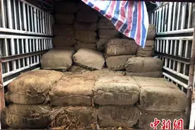 中缅边境查获案值200万元走私烟叶图片