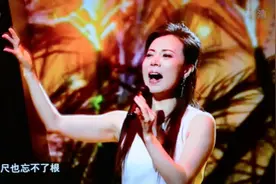 好洋盘！成华教师携双胞胎女儿上央视舞台图片