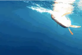 超刺激！磐安这里有水上乐园啦！18道冒险关卡等你来！图片