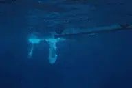 「内含彩蛋」水下打戏闭息3分钟，原来你是这样的战狼图片