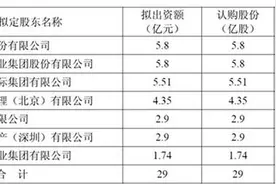 债主们都懵了！乐视刚花了4.35亿元投资了一个新公司图片