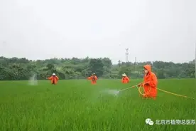 农药使用正确姿势第一弹图片