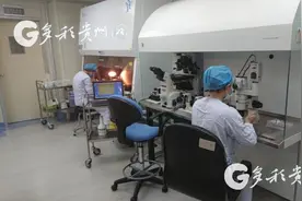 贵州省“最老”胚胎冷冻10年后复苏并成功着床图片