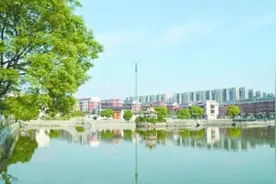 义乌小城镇的美丽嬗变——义乌深入开展小城镇环境综合整治纪实图片