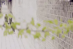 「乡愁」咱焦作竟有一个世外桃源般的古村落……去了就舍不得走！你知道在哪里吗？图片