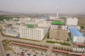 秦皇岛骊骅淀粉公司：规范经营 科学发展图片