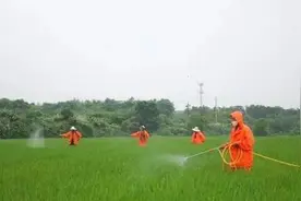 继续！《农药使用正确姿势第二弹》图片