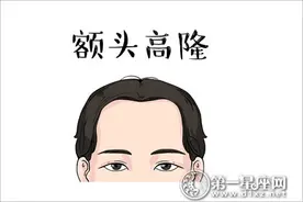 智慧与思想体现，额头看你适合哪些工作图片